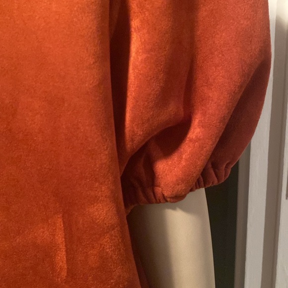Beautiful faux suede Dress with puff shoulders, color is SPICE. BNWT,  SIZE 12. - Picture 12 of 16
